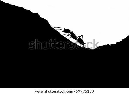 Silhouette of ant climbing uphill