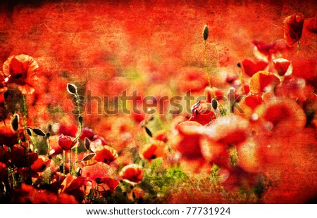 abstract contemporary image of corn poppies with shallow depth of field for bokeh and added texture
