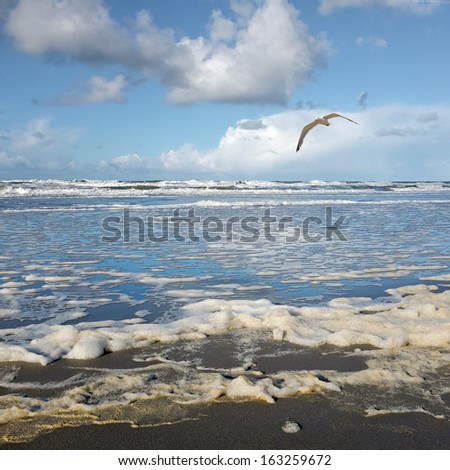 Foam on north sea beach - square image
