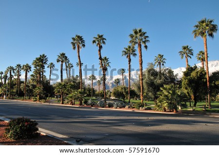 Winter landscape in Palm Springs,CA,USA.