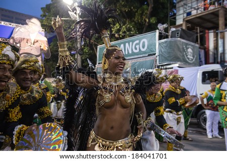 RIO DE JANEIRO, RJ /BRAZIL - MARCH 01:  parade of samba schools Academicos do Cubango, access group in Carnival 2014 on march 01, 2014 in Rio de Janeiro.