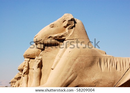 Ram headed Sphinxes, Karnak, Luxor A row of ancient egyptian sphinxes with rams\' heads.  Temple of Karnak, Luxor, Egypt.
