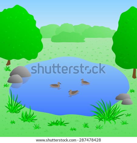 Beautiful lake with ducks, summer landscape, vector illustration