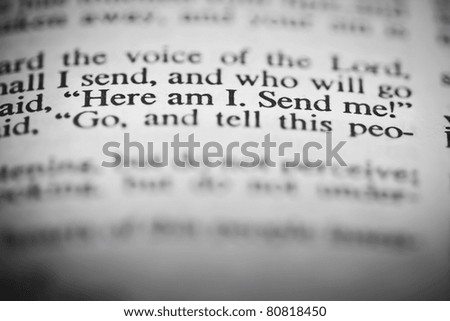 Similar – Image, Stock Photo Here I am! me attendance