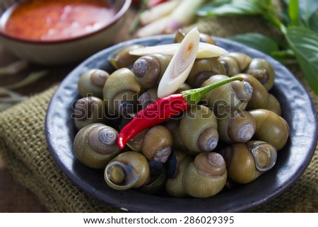 Cambodia street food : apple snail steam