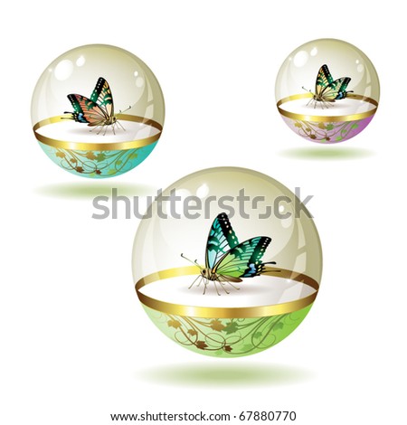 Butterfly collection isolated in glass globe on white background, vector illustration