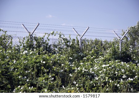 safety fence with barbwire around an airport in germany