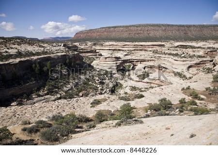 Sipapu Bridge is in the Natural Bridges National Monument in Utah, USA