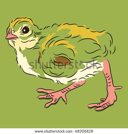 Raster chick in linear style on green background walking