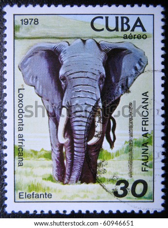 CUBA - CIRCA 1978: A stamp printed by Cuba shows fauna Africa  elephant , stamp is from the series, circa 1978