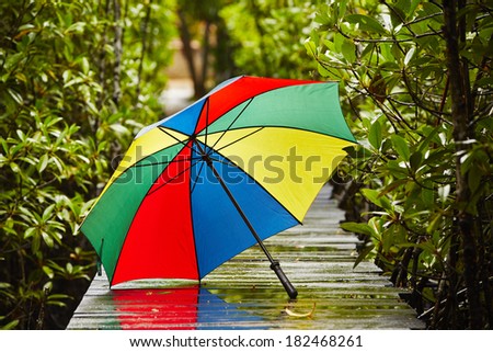 Colorful umbrella in rain on the pathway.