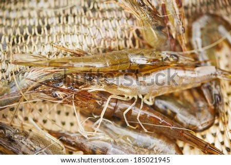 Close up view on the raw prawns in fishing net.