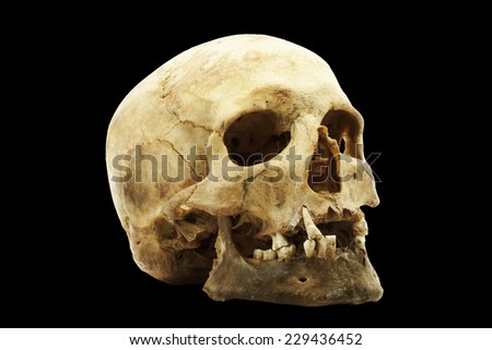 Genuine human skull isolated on black background