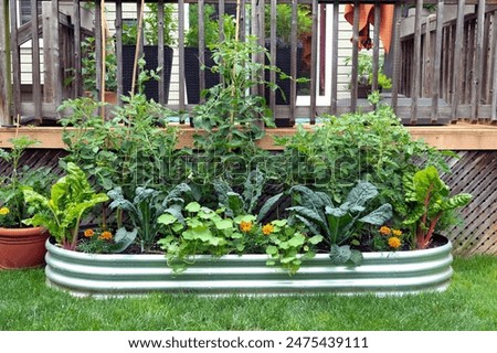 Similar – Image, Stock Photo Raised beds in the garden