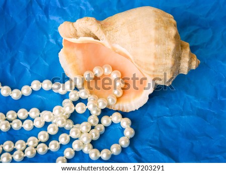 shell with pearl beads on blue background