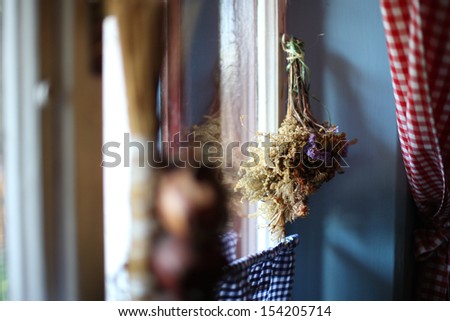 Withered plants hanging near the window, Europe