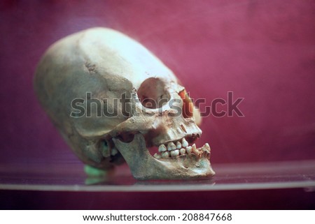 Skull of human being on purple background