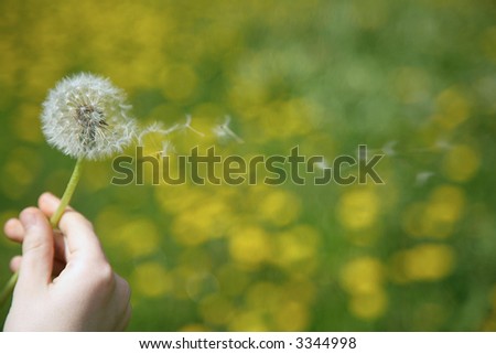 Similar – Image, Stock Photo Child hand with dandelion