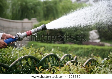 hose spraying crops with water