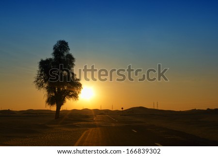 Lonely desert in sunrise, Dubai, UAE