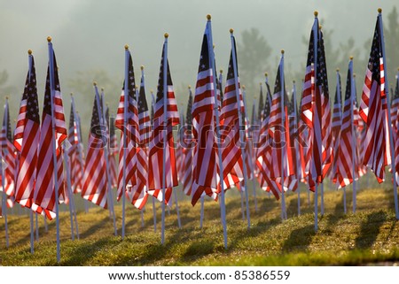 Flags as part of the healing fields memorial for 9/11/2001 in Grand Rapids Michigan. Each flag was designed to represent a person who died in the terrorist attacks on 9/11/2001.