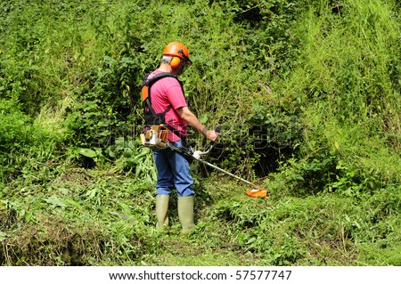 A worker using a brush cutter to cut down a jungle of undergrowth. Space for text against the greenery.