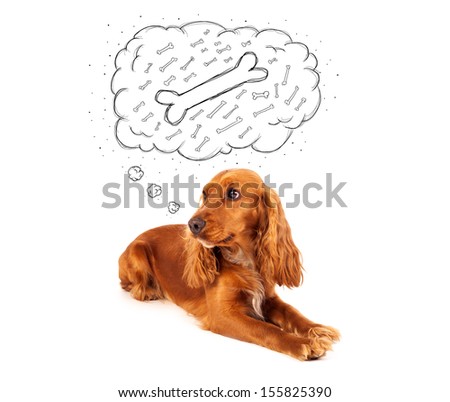 Cute cocker spaniel lying and dreaming about a bone in a thought bubble