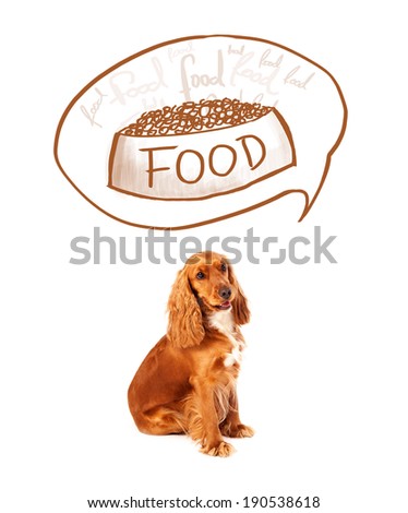 Cute cocker spaniel thinking about a bowl of food in a thought bubble above her head