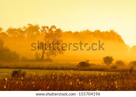 Early morning fog during sun rise