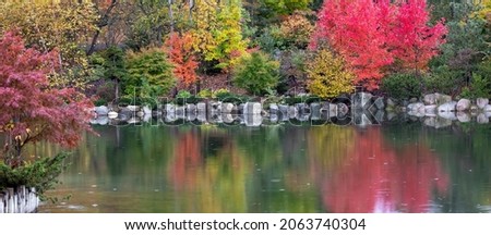 Similar – Image, Stock Photo The tree in the autumn dress in front of the facade of marble