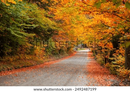 Similar – Foto Bild Straßen- und Herbstlandschaft