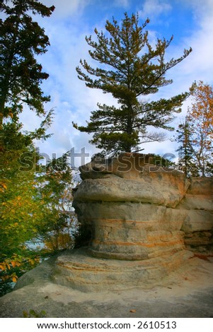 Tree on miners castle at pictured rocks national lake shore