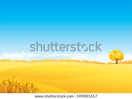 Autumn landscape. Vector landscape of yellow fields with grass and alone tree.