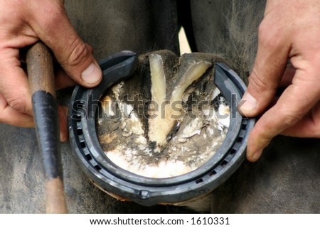 Fitting the horse shoe