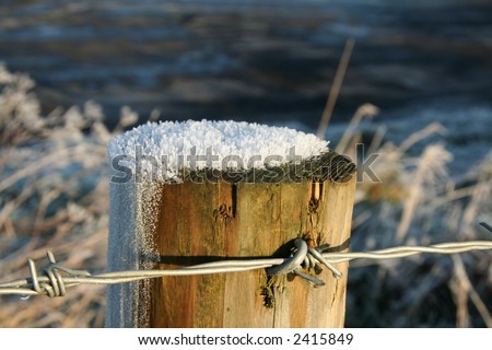 Fence post on a frosty morning