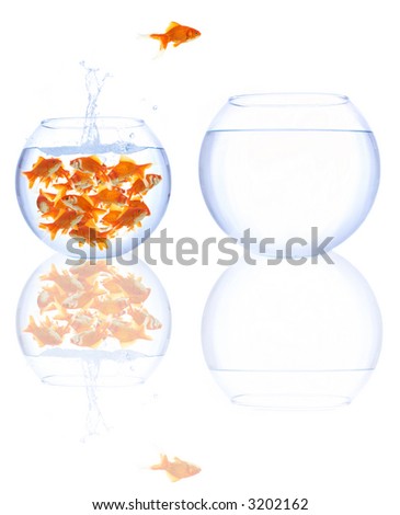 beautiful goldfishes in the bowl, one of them is getting away for a better place