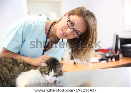 Veterinarian examining cat ear infection