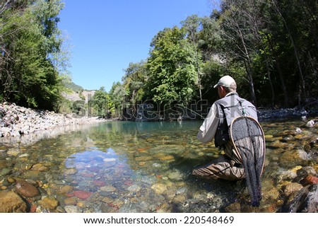 Fly fisherman fishing trouts in freshwater river