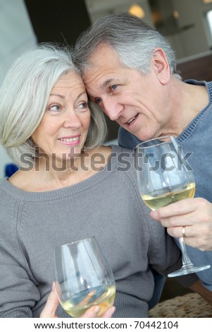 Portrait of happy senior couple cheering with wine