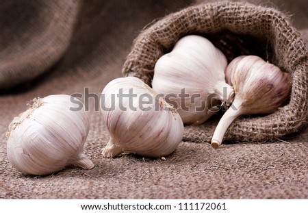 Garlic in bag
