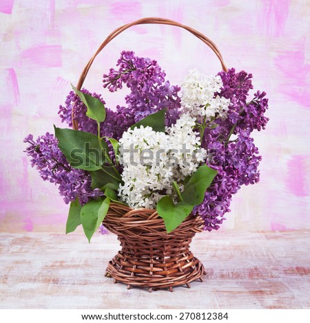lilac on a beautiful background