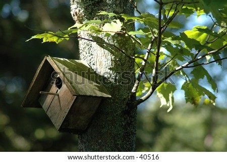 birdhouse with summer leaves