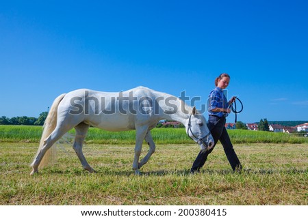 woman is leading a white horse on a meadow