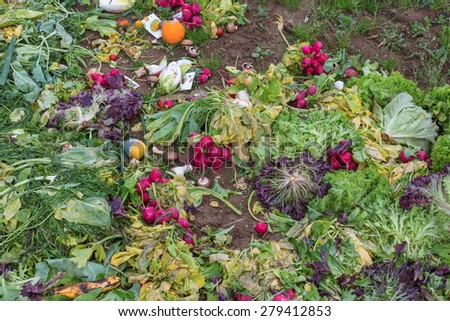 rotten vegetable on the ground