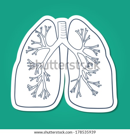 Anatomical lungs. Sketch sticker vector element for medical or health care design