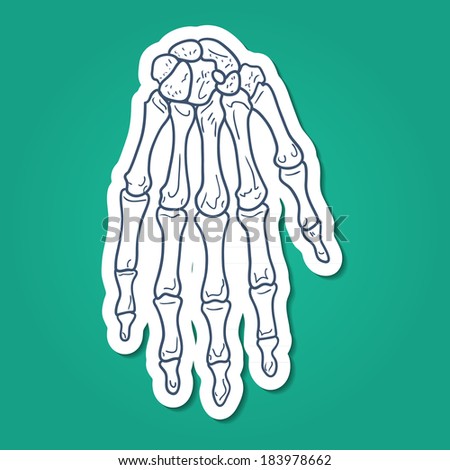 Bones of hand. Skeleton part. Sketch sticker element for medical or health care design