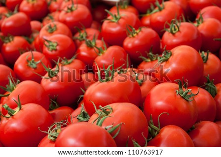 Group of tomatoes