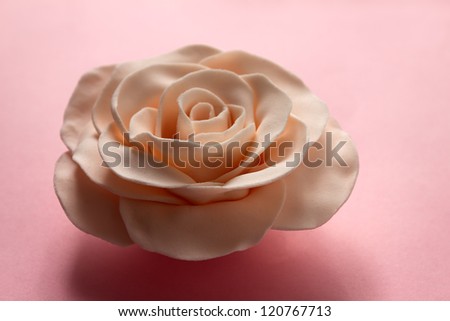 Fondant rose on a pink background