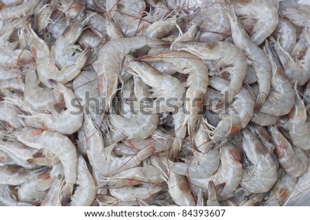 shrimps background