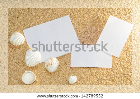bottom of sand with three paper leaves and shells of white color